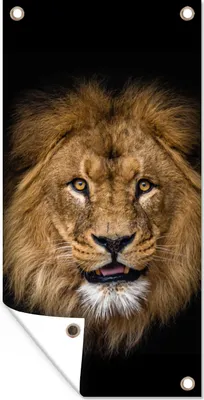 Produktbild von MuchoWow® 80x160 cm Outdoor-Poster Gartendeko Sichtschutz Garten Poster für den Garten  Löwe - Porträt - Schwarz - Tiere