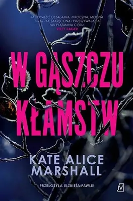 Obrázek produktu pro W gaszczu klamstw