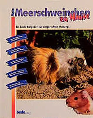 Produktbild von Meerschweinchen, zu Hause