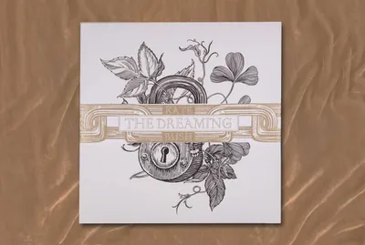 Immagine prodotto di Kate Bush: The Dreaming (180g) (Escapologist Edition)
