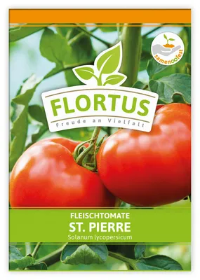 Produktbild von Fleischtomate St. Pierre | Fleischtomatensamen von FLORTUS