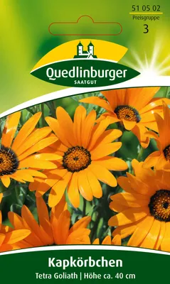 Produktbild von Kapkörbchen, Tetra Goliath