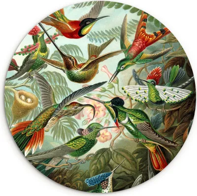 Produktbild von MuchoWow® - Schlafzimmer - Bilder - Der Kreis - Kunst für die Wohnung - Plastik - Kunstdruck - Wandbild