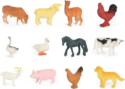 Image de Assortiment d'animaux domestiques en boîte