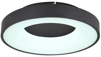 Produktbild von LED Deckenleuchte, Metall, dimmbar, Fernbedienung, D 40 cm