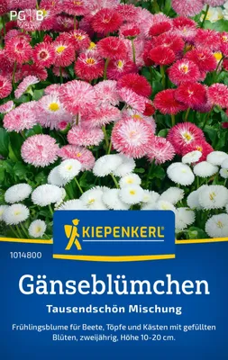 Produktbild von Kiepenkerl Gänseblümchensamen Tausendschön Bellis perennis 100 Pflanzen