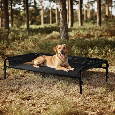 Produktbild von Erhöhtes Hundebett Hundeliege Hundekorb - Wasserdicht - Grau - Größe L 124 x 77 x 31 cm - Für Garten und Reise