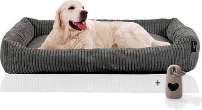 A golden retriever dog lying on a gray corduroy dog bed, with a small beige dog tag with a heart shape on a keychain next to it.