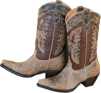 Produktbild von Damen Western Cowboy Biker Leder Stiefel Boots »WBL-24« Braun