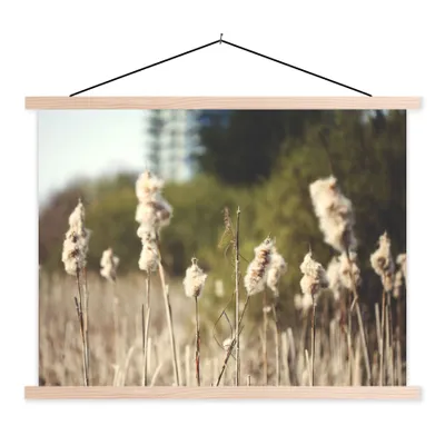 Produktbild von MuchoWow® Textilposter Baumwolle - Sonne - Pflanzen 40x30 cm mit holzfarbenen Rahmen - Bilder