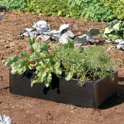 Produktbild von Garland Hochbeet Mini 97,5 x 51 x 25 cm