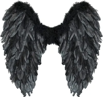 Produktbild von Schwarze Faltbare Federflügel – 50x50 cm