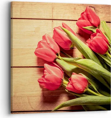 Produktbild von Bild auf Leinwand - Leinwandbild - Tulpen Blumenstrauß Sommer Garten - 40x40cm - Wand Bild - Wanddeko - Leinwanddruck - Bilder - Kunstdruck - Leinwand bilder - Wandkunst - AC40x40-2867