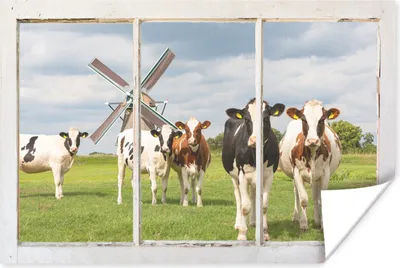 Produktbild von MuchoWow® Poster Ansicht - Kuh - Mühle 30x20 cm - Plakate - Print