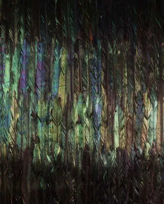Immagine prodotto di Komar Carta da parati multicolore Dark Wings - 610005 - 200 x 250 cm