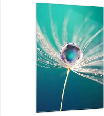 Produktbild von Bilder auf glas - Einteilig - Pflanze Natur - 80x120cm - Glasbilder - Wandbilder - Bilder - zum Aufhängen bereit - Wanddekoration aus Glas - Glas Bilder - Wandbild auf Glas - GPA80x120-3991