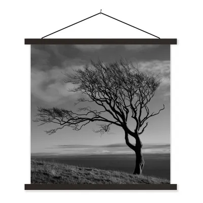 Produktbild von MuchoWow® Textilposter Winterfoto Buche schwarz und weiß 120x120 cm mit schwarzem Rahmen - Aufhängungsset