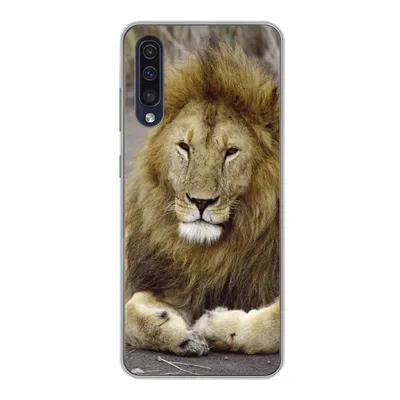 Produktbild von MuchoWow® Handyhülle Schutzhülle Hülle für Samsung Galaxy A30s Löwe - Afrika - Tier Silikon Softcase Handy Hülle - Karteninhaber