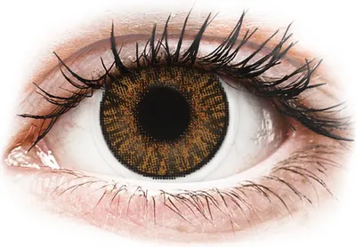 Zdjęcie produktu dla FreshLook ColorBlends Honey - zerówki (2 soczewki) Moc: 0.00, (BC): 8.60, DIA: 14.50