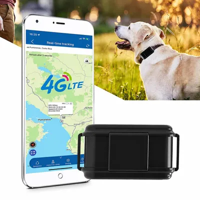 4G GPS-Tracker mit Halsband für große Hunde, 3000 mAh, IP67