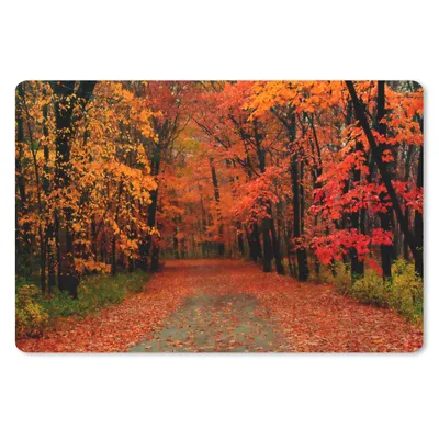 Produktbild von MuchoWow® Schreibtischunterlage Herbst - Wald - Laub 60x40 cm - XXL Mauspad - Großes Mauspad
