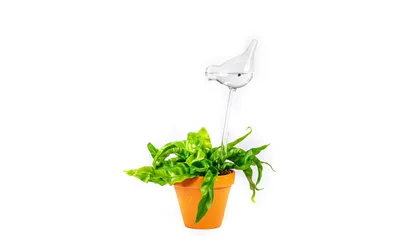 Obrázek produktu pro ESSCHERT DESIGN Skleněný zavlažovač ptáček