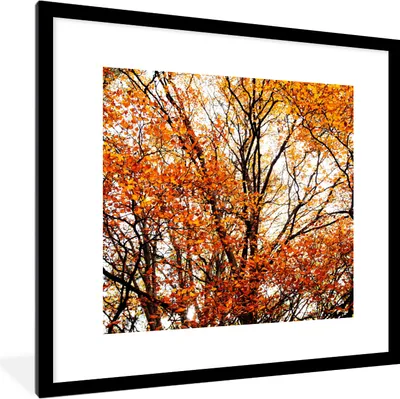 Produktbild von MuchoWow® Gerahmtes Poster Wald - Herbst - Jahreszeiten 40x40 cm - Poster mit Schwarzem Bilderrahmen Wandposter Rahmen Foto Bilder - Poster - Plakat im Rahmen