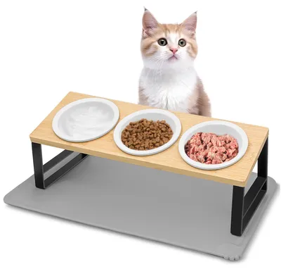 Erhöhtes Katzennapf-Set, 3er-Set Keramiknäpfe mit 15° Neigung