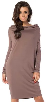 Produktbild von Damen Mini-Kleid klassisch Langarmkleid; Cappuccino/L/XL 40/42
