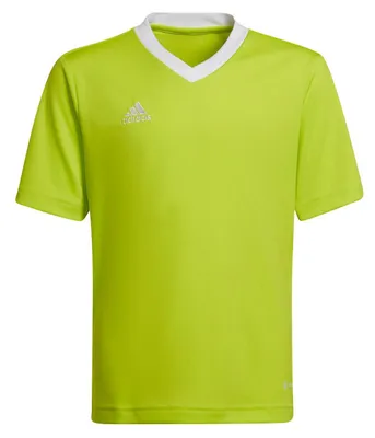 Produktbild von adidas Entrada 22 Trikot 164 TMSSYE