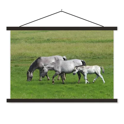 Produktbild von MuchoWow® Textilposter Pferde - Tiere - Gras 90x60 cm mit schwarzem Rahmen - Aufhängungssatz