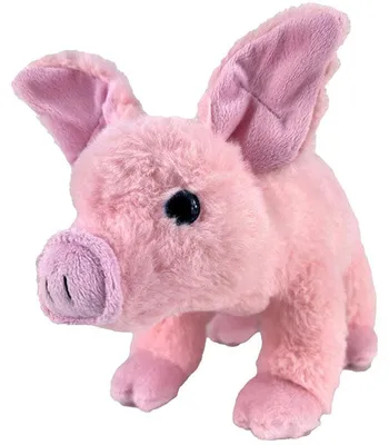 Produktbild von Plüschschwein 30 cm