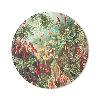 Produktbild von MuchoWow® Mauspad Mousepad Blumen - Kunst - Vintage - Natur - Botanisch 20x20 cm - Mousepads - Maus Mat - Pad - Mausunterlage - Schreibtischmatte