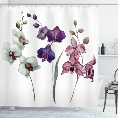 Immagine prodotto di ABAKUHAUS Tenda da doccia acquerello, bellissime orchidee in tre colori in fiore, tema floreale, 175 x 200 cm, crema viola rose essiccate