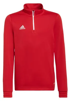 Produktbild von adidas Entrada 22 Training Oberteil 176 TEPORE