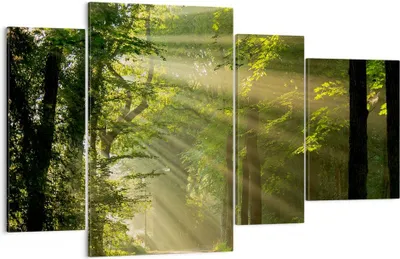 Produktbild von Bild auf Leinwand - Leinwandbild - Wald Baum Natur - 120x70cm - Wand Bild - Wanddeko - Wandbilder - Leinwanddruck - Bilder - Kunstdruck - Wanddekoration - Leinwand bilder - Wandkunst - DL120x70-3661