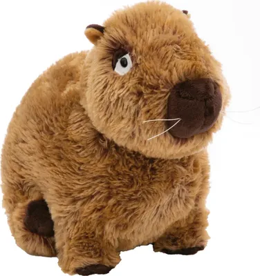 Immagine prodotto di Nici 61223 Kuscheltier Capy-Barbara Capy-Barbara 27cm sitzend