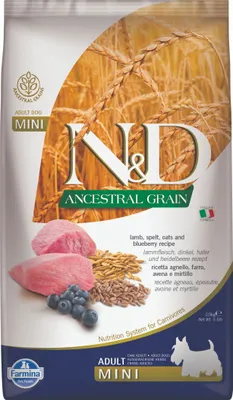 Produktbild von N&D Dog Adult Mini Ancestral Grain Lamm, Dinkel, Hafer & Heidelbeere 2,5kg
