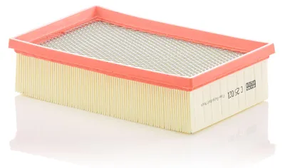Zdjęcie produktu dla Filtr powietrza MANN-FILTER C 25 021
