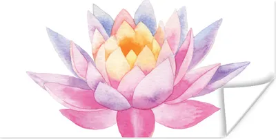 Produktbild von MuchoWow® Poster Aquarell - Blume - Seerose 160x80 cm - Foto Poster