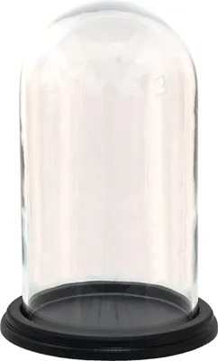 Immagine prodotto di Clayre & Eef 6GL3474 Campana di vetro trasparente Ø 21x31 cm
