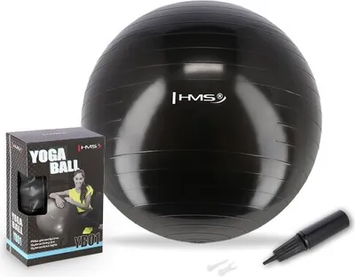 Obrázok produktu pre Gymnastická lopta HMS YB01 75 cm, čierna