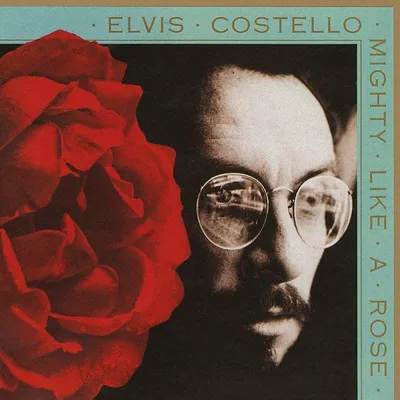 Obrázek produktu pro Elvis Costello: Mighty Like A Rose