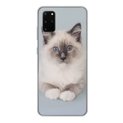 Produktbild von MuchoWow® Handyhülle Schutzhülle Hülle für Samsung Galaxy S20 Plus Katze - Ragdoll Katze - Blau - Mädchen - Kinder - Jungen - Kind Silikon Softcase Handy Hülle - Hartschale