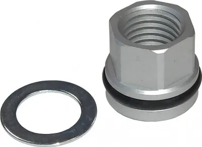 Image de SR Suntour FKE436-02 Kit d'écrous de fixation pour SF17 NRX-S, argent (1 kit)