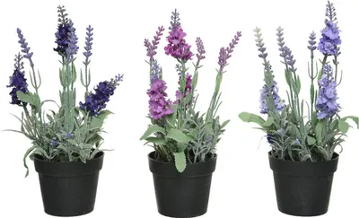 Image de Plante Artificielle Lavande, Plusieurs Couleurs ø12x25cm