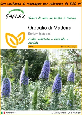 Immagine prodotto di SAFLAX Garden in the bag - Orgoglio di Madeira - 100 semi - Echium