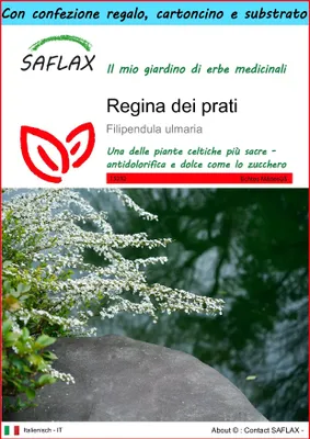 Immagine prodotto di SAFLAX Set regalo - Regina dei prati - 500 semi - Filipendula