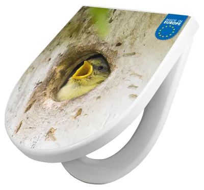 Produktbild von WC Sitz mit Absenkautomatik D Form Motiv Blaumeise [TDW3 10520]
