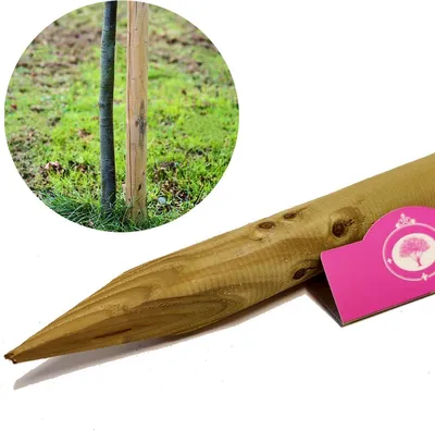 Obrázok produktu pre 1x drevený stĺpik - Výška 150 cm - Hrúbka 4 cm - Okrúhly s hrotom - Impregnovaný - Frézovaný - Opora pre rastliny